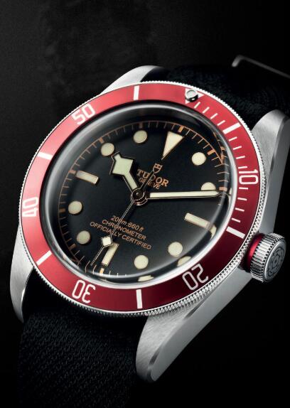 Tudor BLACK BAY M79230R-0010 Replica Watch